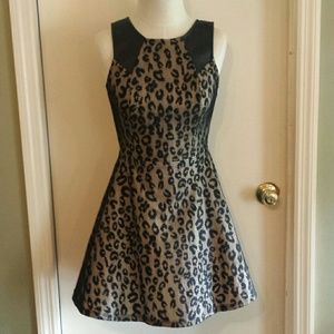 Black lace leopard print dress